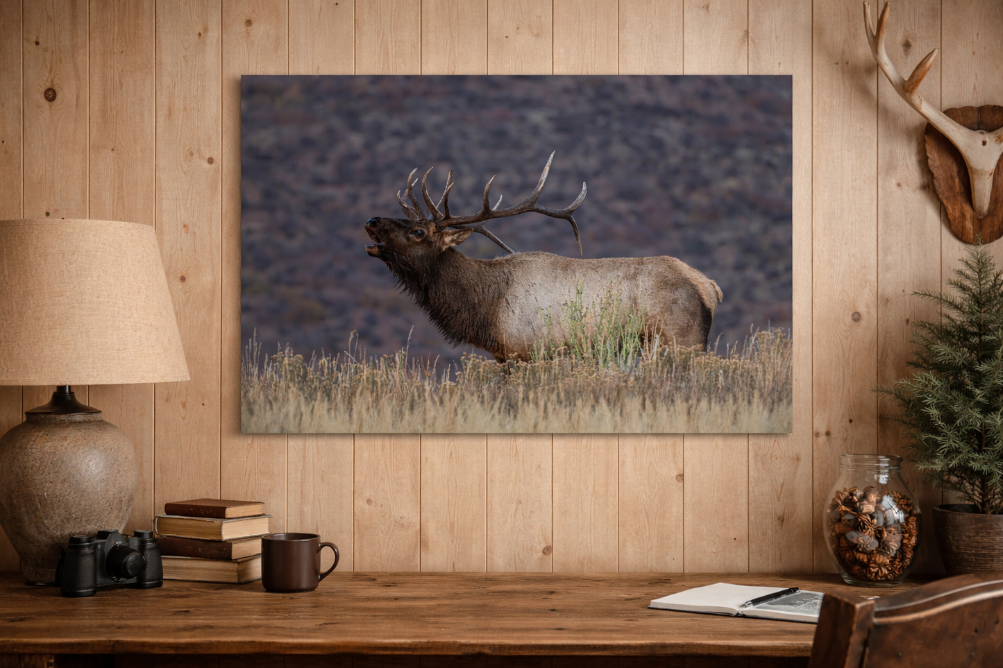 High Country Bull