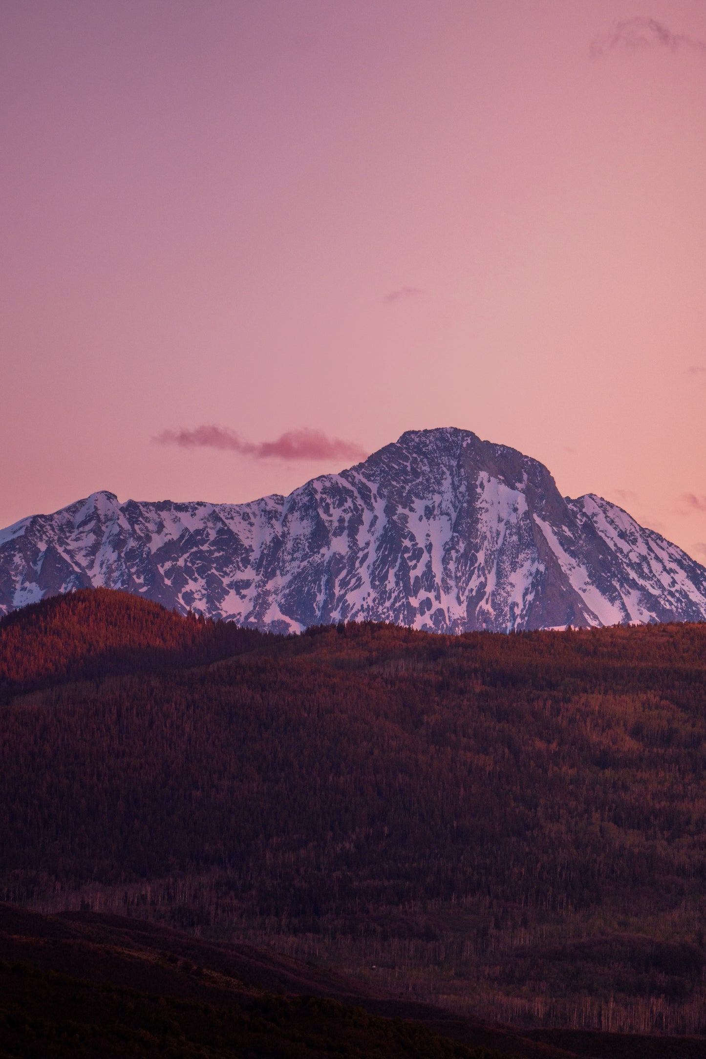 Rose mountain